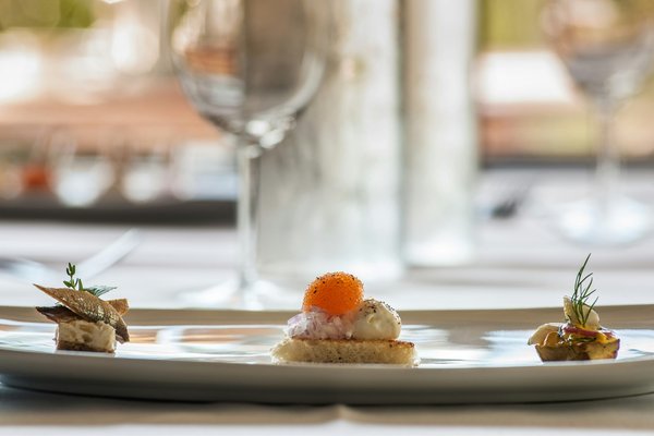 La quête de la meilleure viande du monde : découvrez l'excellence